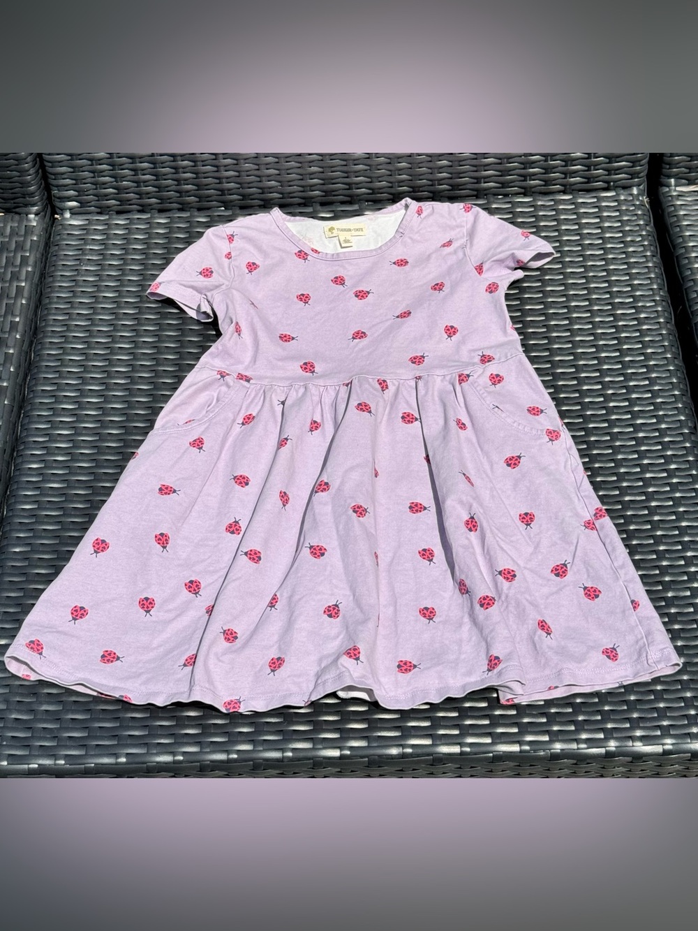 Tucker + Tate Girls Lavender Dress with Ladybug Print
